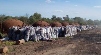 Pozo Hondo: Intervienen propiedad dedicada a la producción de carbón vegetal